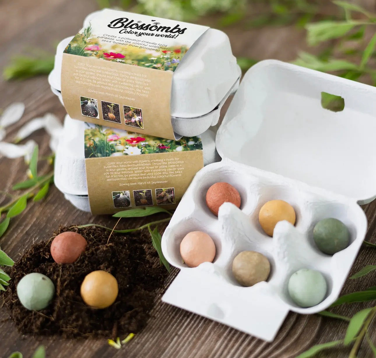 Happy Easter- Egg Carton Seed Bombs-Wildflower