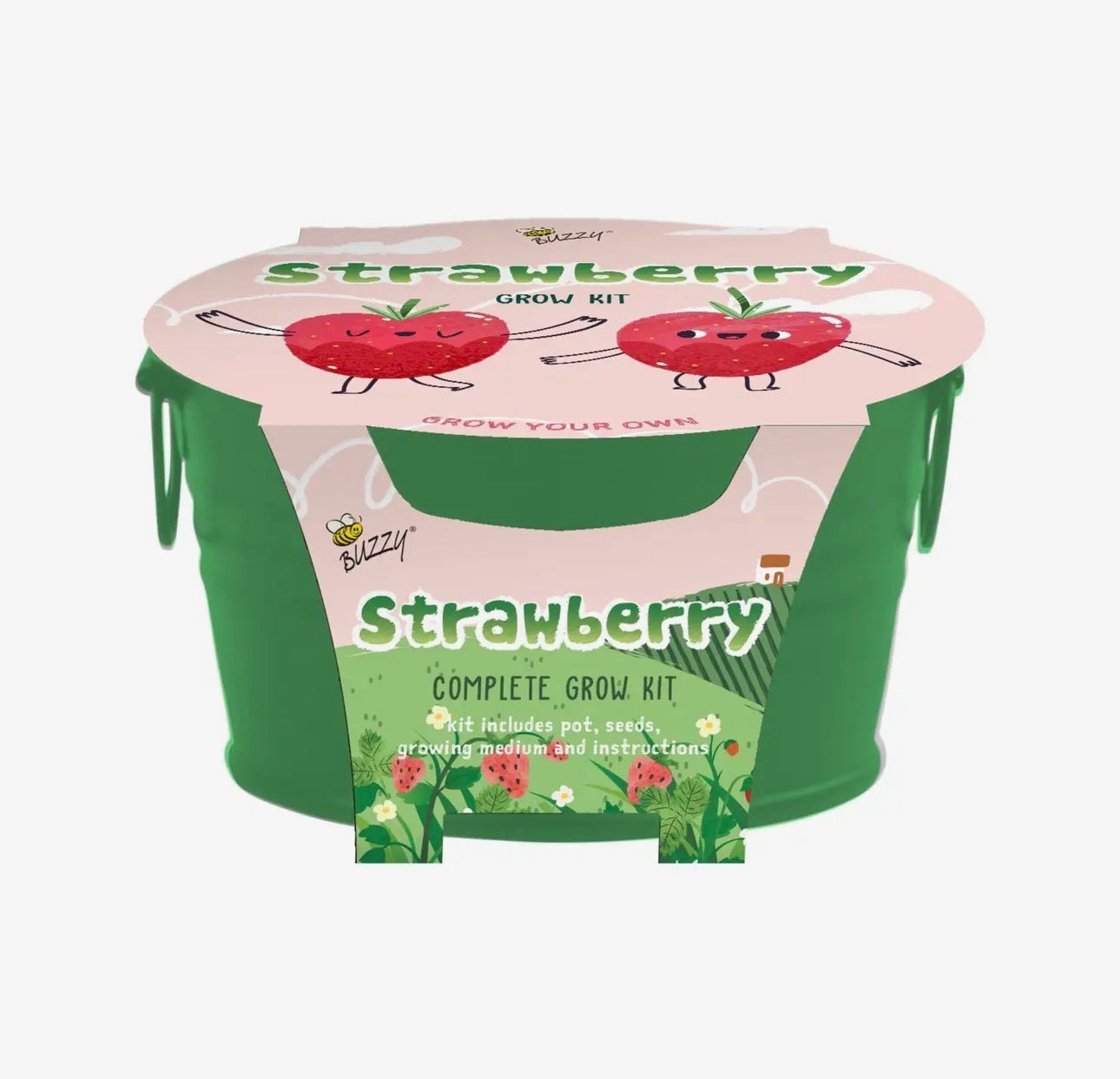 Kids Mini Basin Strawberry Grow Kit