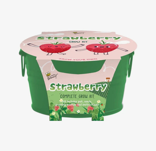 Kids Mini Basin Strawberry Grow Kit